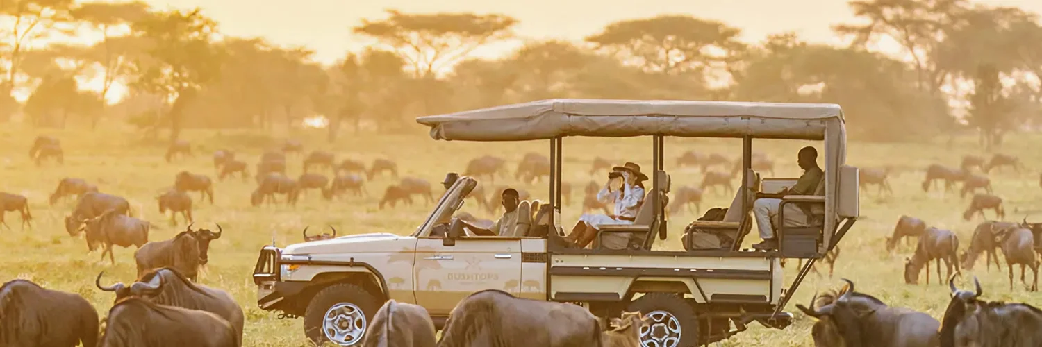 IMG_3349-scaled-e1702791051429-1337x1047 (1) 1.webp